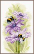 Dancing Bees