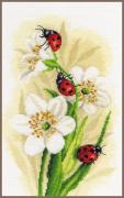 Ladybug parade