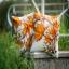 Front Cushion: Autumn seeds