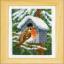 Robins in Winter - Set of 3
