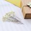 Glass-head pins in cherry-wood box - Yellow