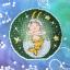 Zodiac Signs - Capricorn