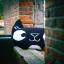 Cushion: Eva Mouton - Black Cat