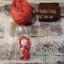 Silk Thread - Dark coral