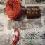 Silk Thread - Dark terracotta