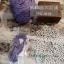 Silk Thread - Dark violet