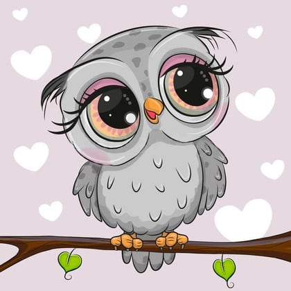 Little Owl