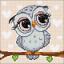 Little Owl
