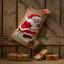 Elf with Robin Stocking