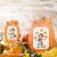 Pumpkin Cross-Stitch Frame