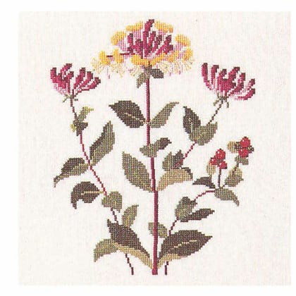 Honeysuckle