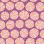 Limpet Shell Lilac
