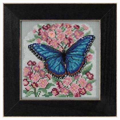 Blue Morpho Butterfly