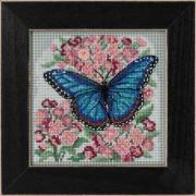 Blue Morpho Butterfly