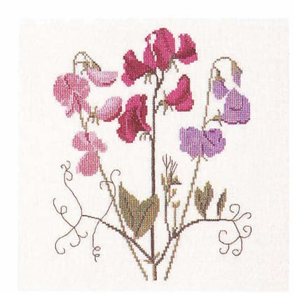 Pea Flower
