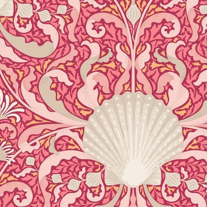 Scallop Shell Coral