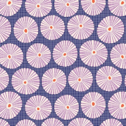 Limpet Shell Blue