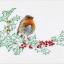 Winter Robin