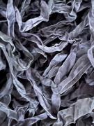 Mayflower Grey Crinkle Ribbon (2yds)