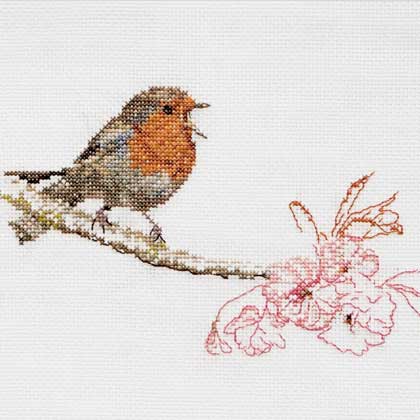 Spring Robin