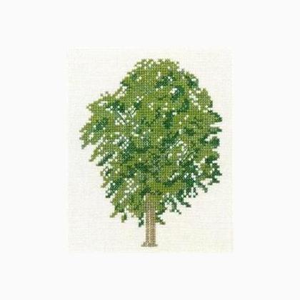 Elm