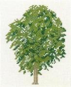 Elm