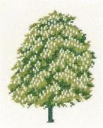 Horse Chestnut