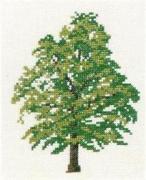 Oak