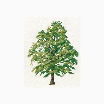 Oak