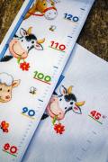 Height Chart - Farm animals