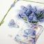 Blue grapes