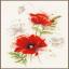 Poppies