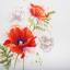 Poppies