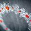Runner - Christmas motifs