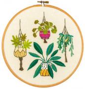 Houseplants