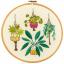 Houseplants