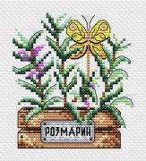 Rosemary