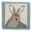 Free Motion Embroidery