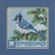 Blue Jay