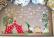 Camping sotto le Stelle