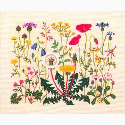 Flowers of the Summer