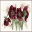 Hellebores
