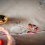 Squared Tablecloth - Snow hare and goldfinch