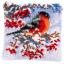 Goldfinch in winter