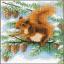 Squirrel in pine tree