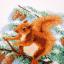 Squirrel in pine tree