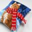 Front Cushion: Cat with scarf