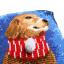 Front Cushion: Dog with scarf