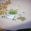 Squared Tablecloth - Garden equipment