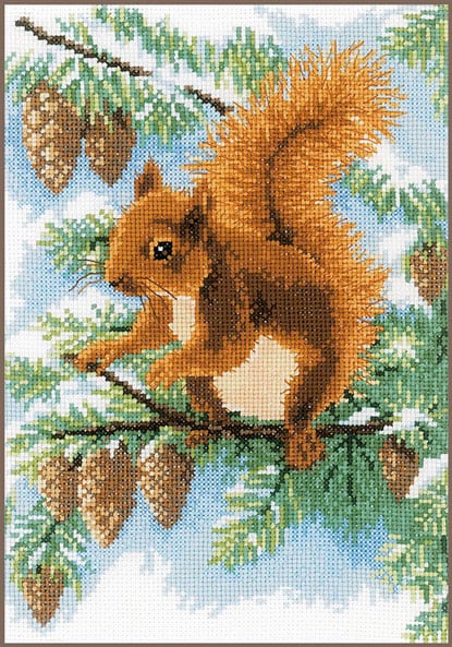 Squirrel in pine tree